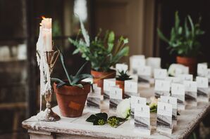 Escort Card Display with Potted Plants