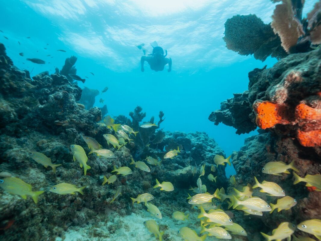 Picture of Ocean Reef Park