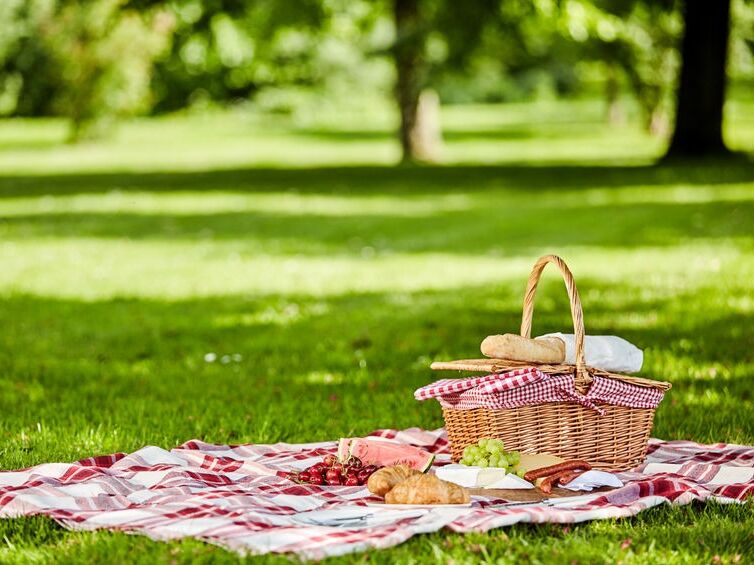 Picture of Brunch In The Park 