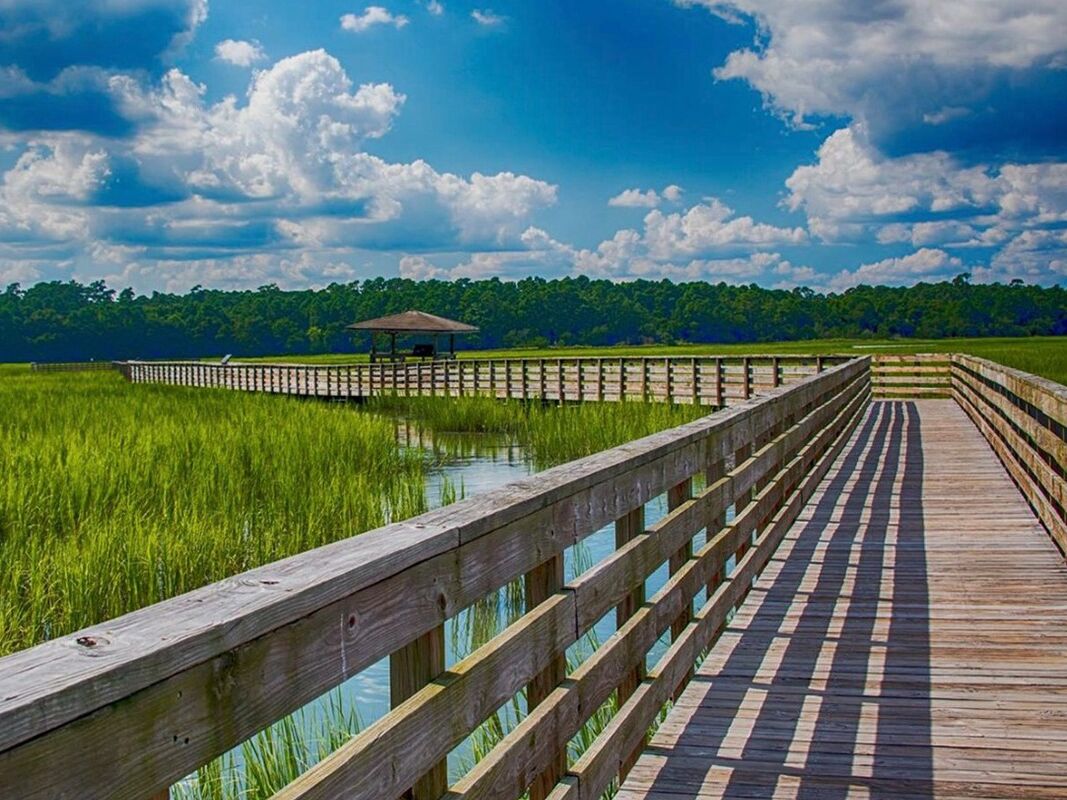 Picture of Huntington Beach State Park