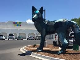 Picture of Meow Wolf