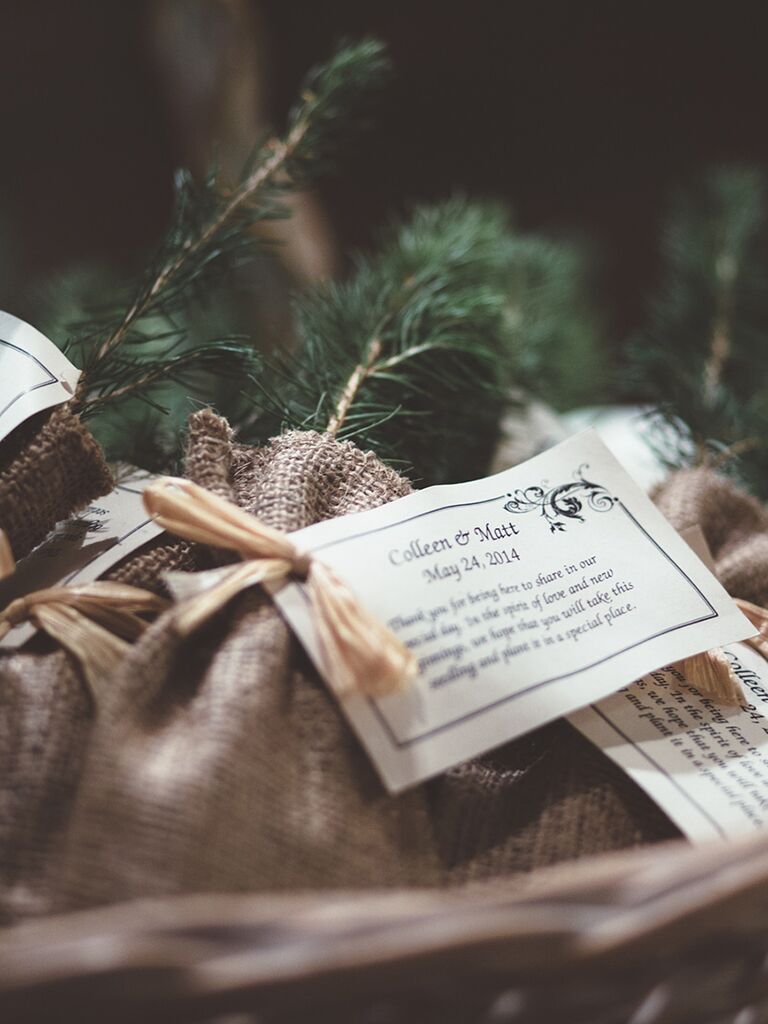 Tree sapling wedding favors