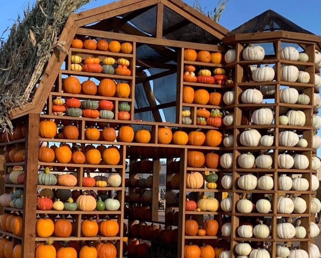 Picture of Bloomsdale Fun Farm