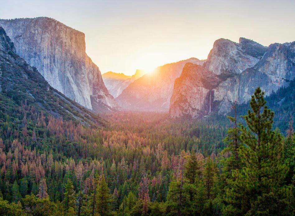 Picture of Yosemite National Park