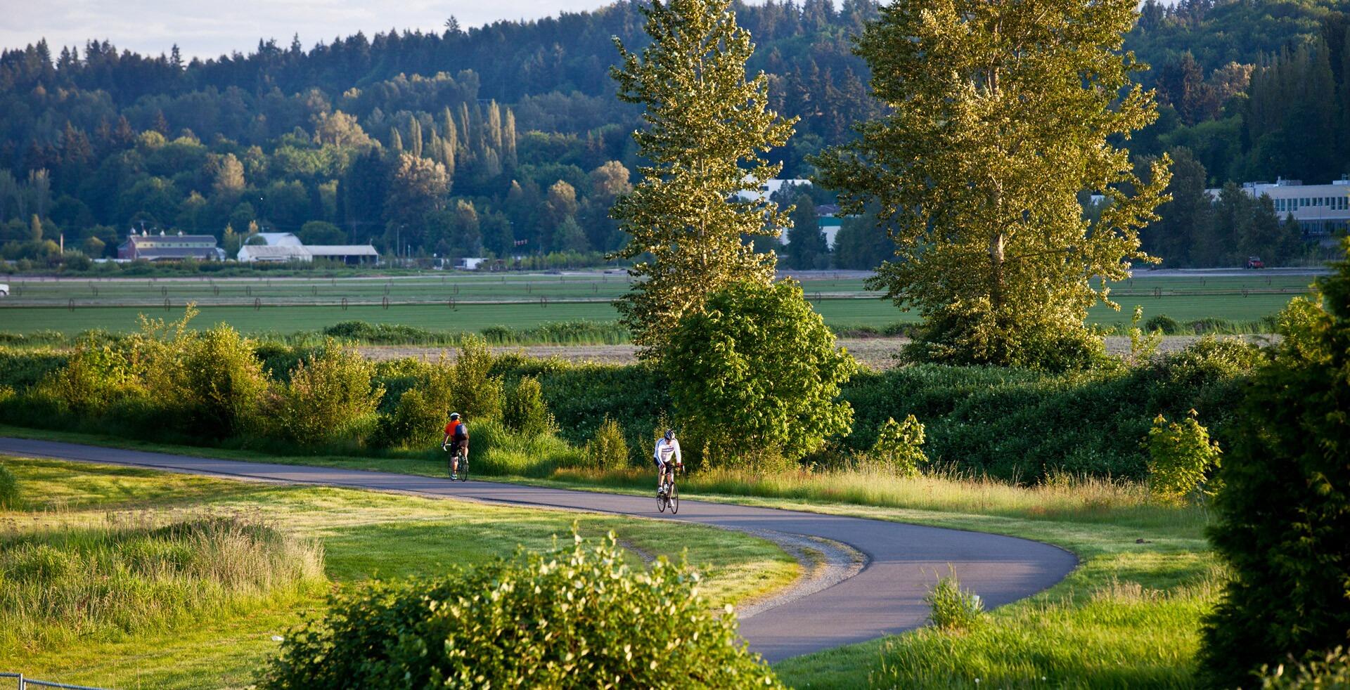 Picture of Woodinville Wine Country