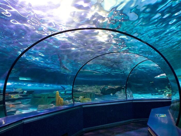 Picture of Ripley's Aquarium of Myrtle Beach