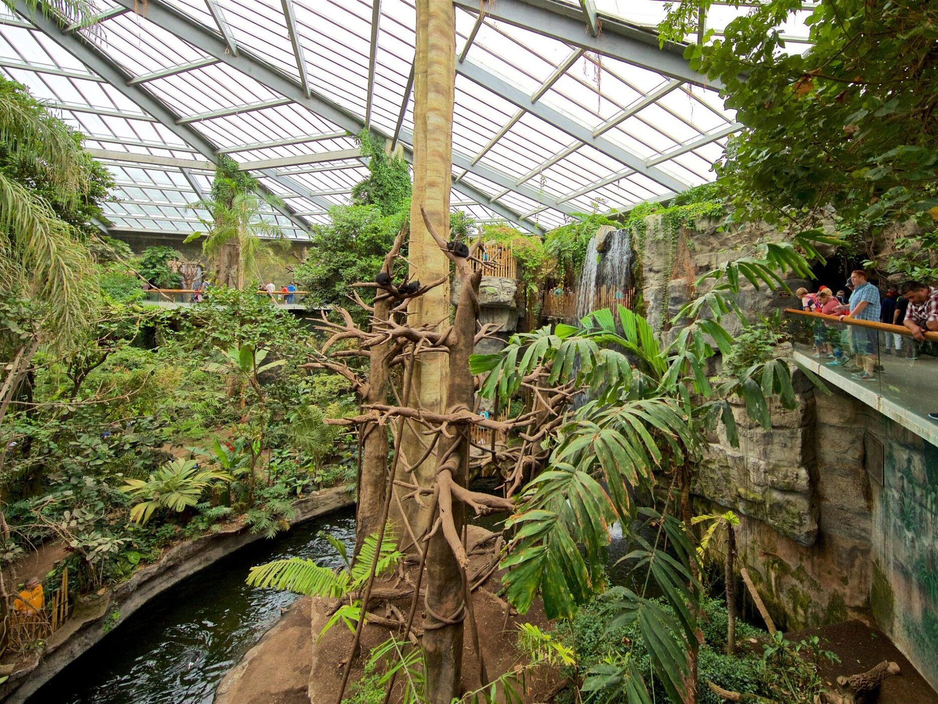 Picture of Omaha's Henry Doorly Zoo and Aquarium