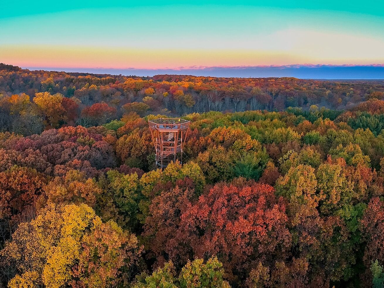 Picture of The Holden Arboretum