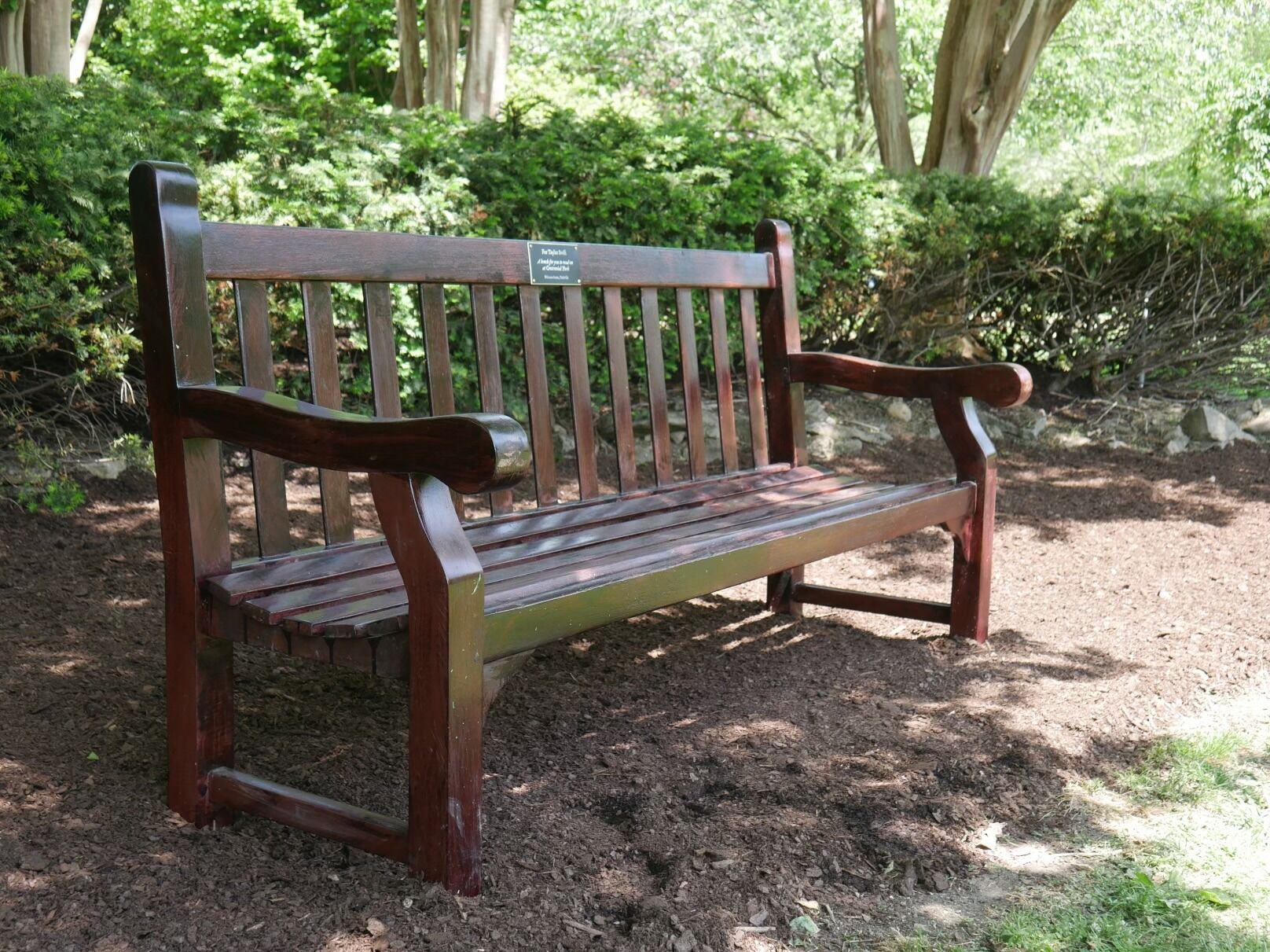 Picture of Taylor Swift's Bench