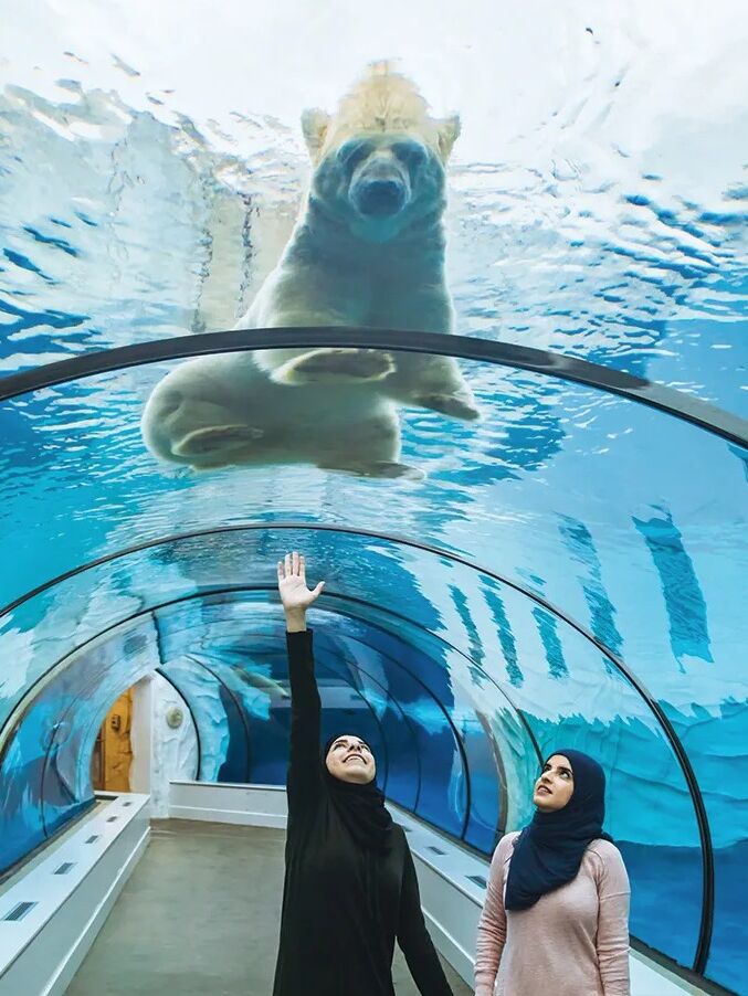 Picture of Detroit Zoo