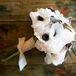 White Anemone, Peony and Olive Leaf Bouquet