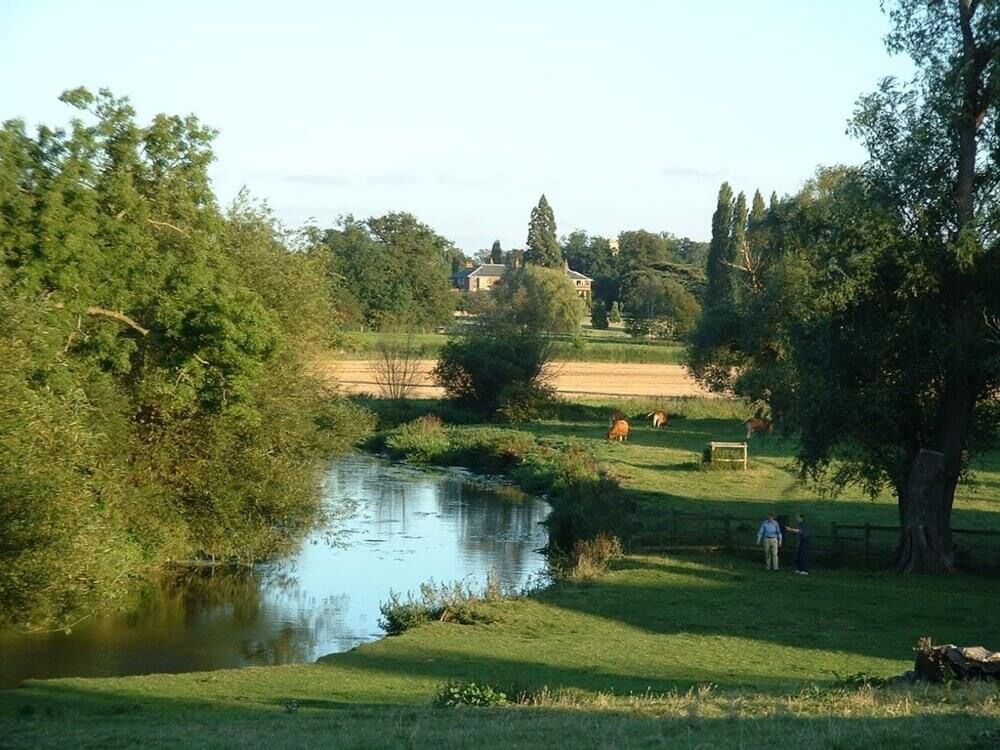 Picture of Grantchester Meadows