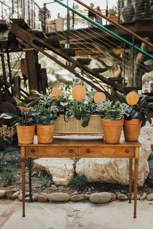 Potted Plant Wedding Decor