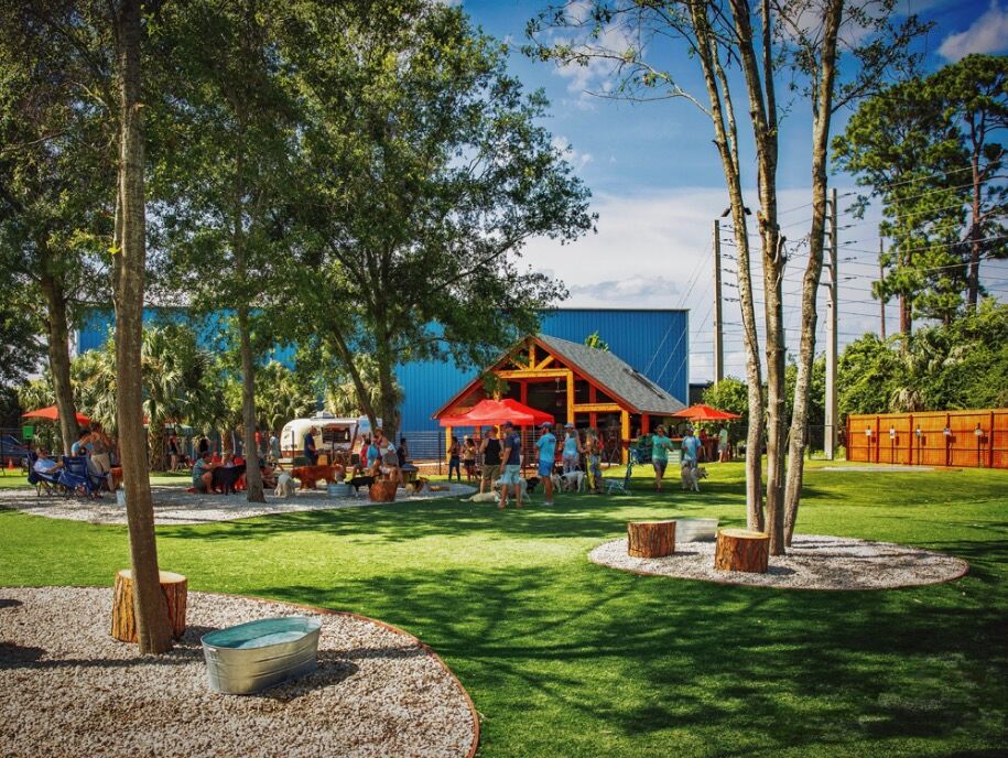 Picture of BrewHound Dog Park + Bar