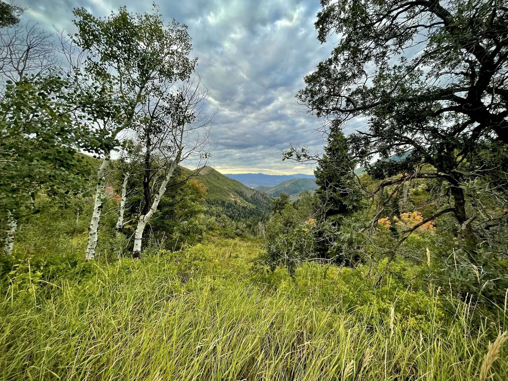 Picture of Mapleton Canyon