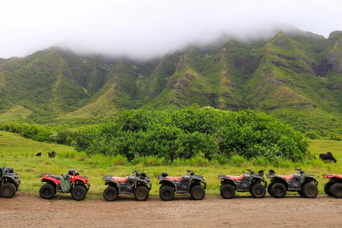 Picture of Kualoa Ranch