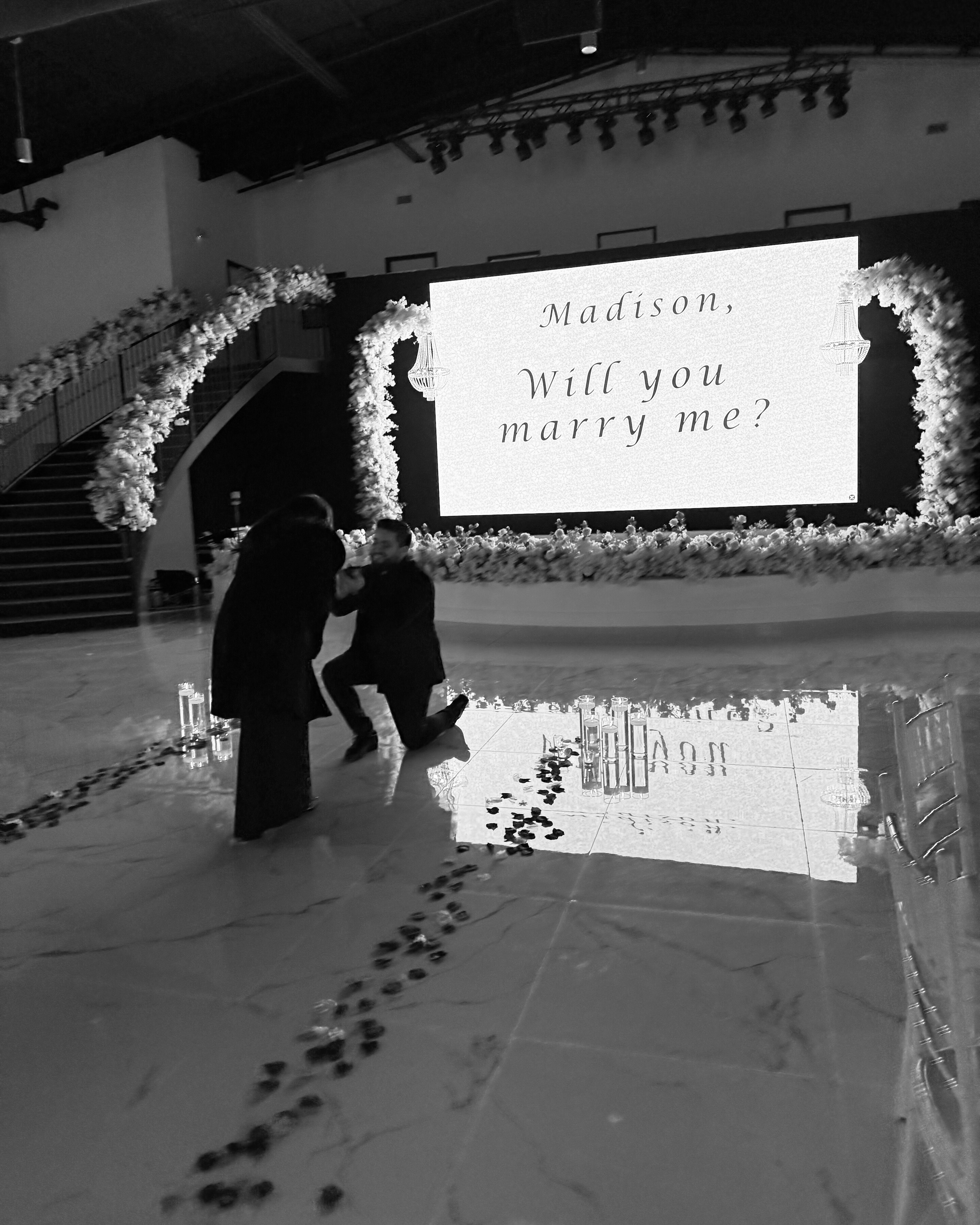 Cesar & Madison Home Page Banner