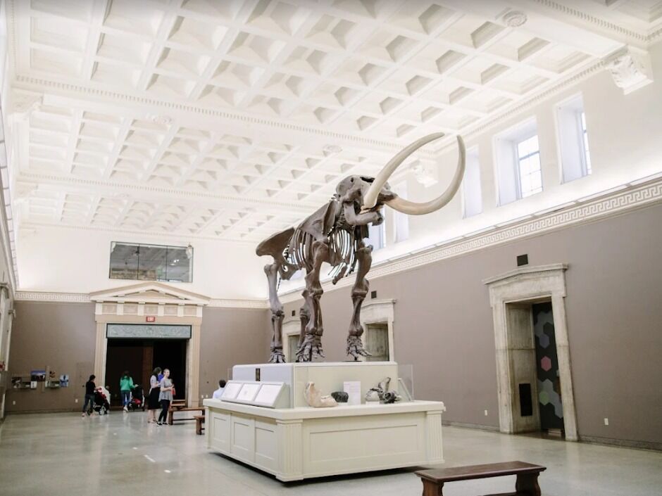 Picture of Buffalo Museum of Science