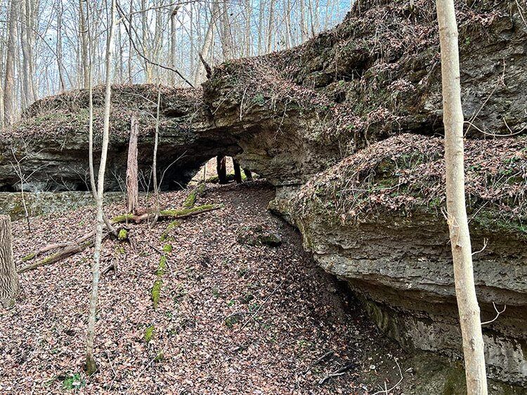 Picture of Fort Hill Earthworks & Nature Preserve