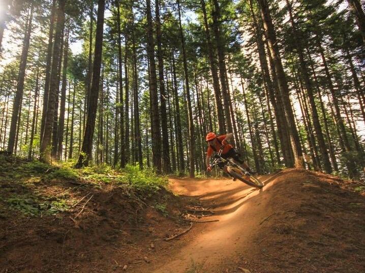 Picture of Mountain Biking!