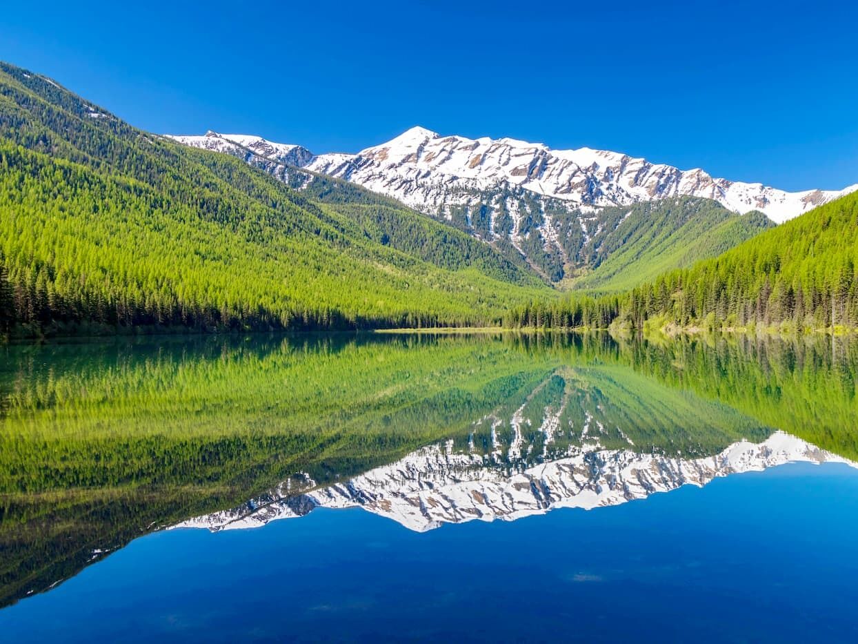 Picture of Flathead National Forest