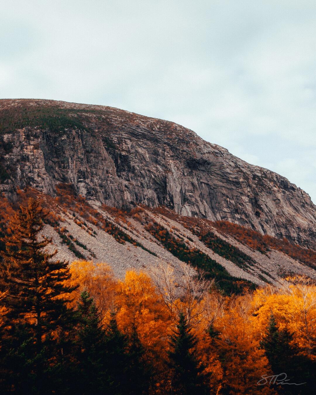 Picture of White Mountain National Forest