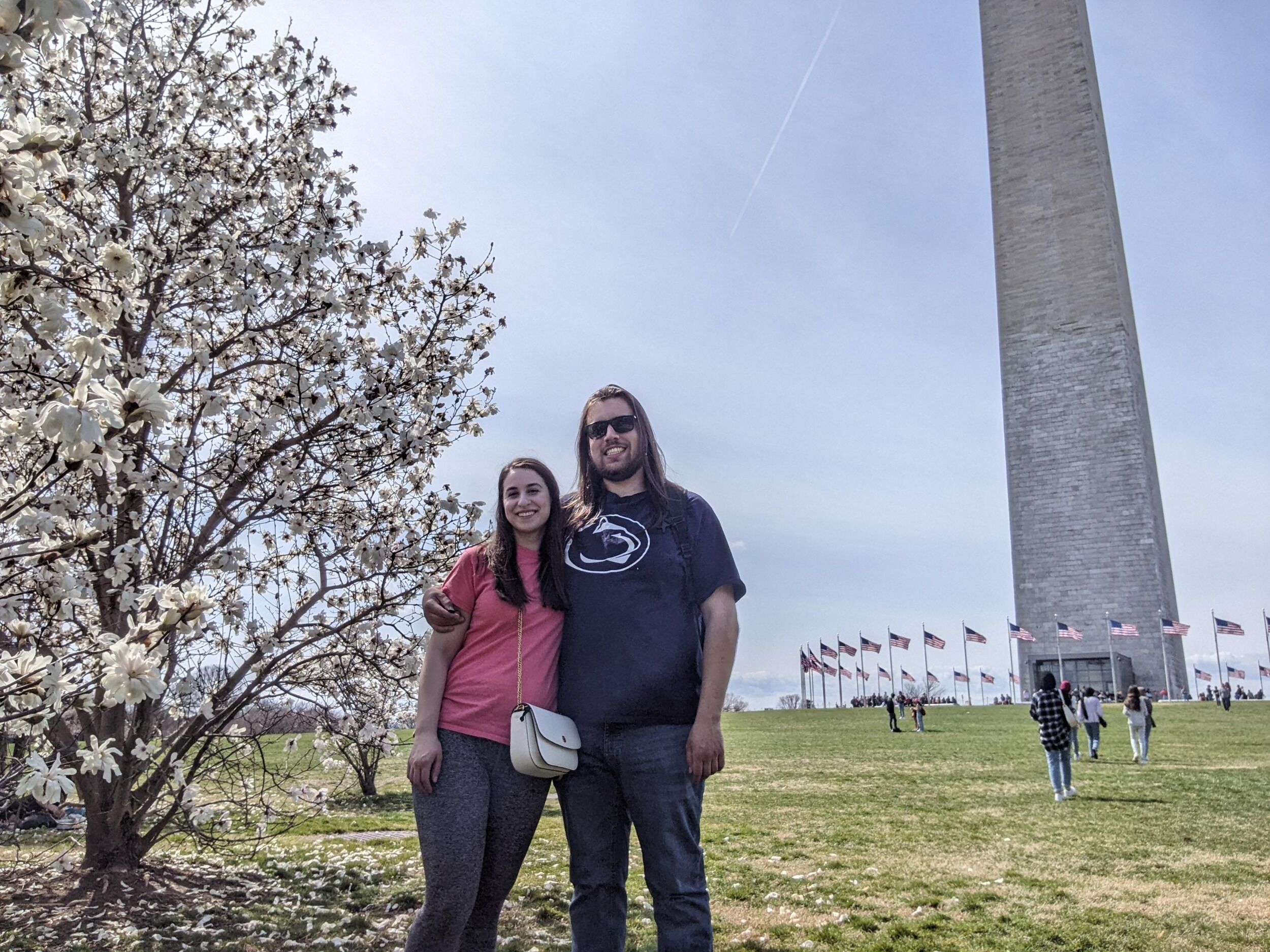 Picture of National Mall