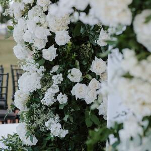 Gallery Photo 23