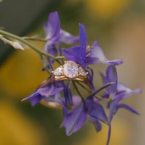 Gallery Photo 128