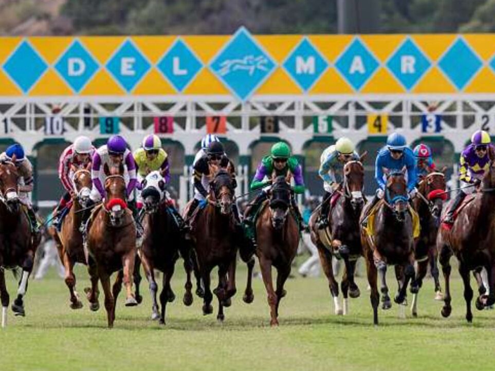 Picture of Del Mar Racing