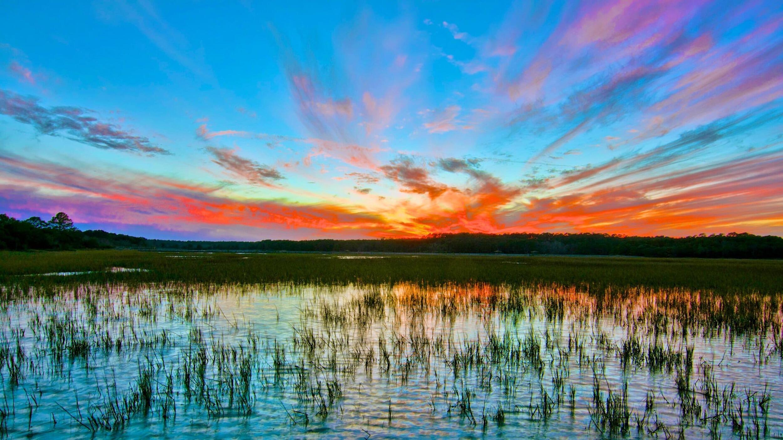 Picture of Huntington Beach State Park