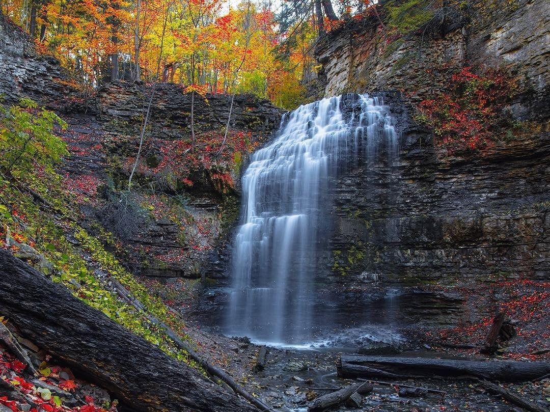 Picture of Tiffany Falls Conservation Area