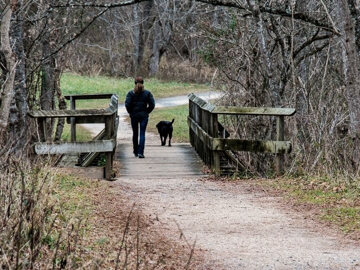 Picture of Chessie Nature Trail