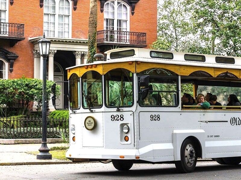 Picture of Hop on, Hop off Trolly Tours