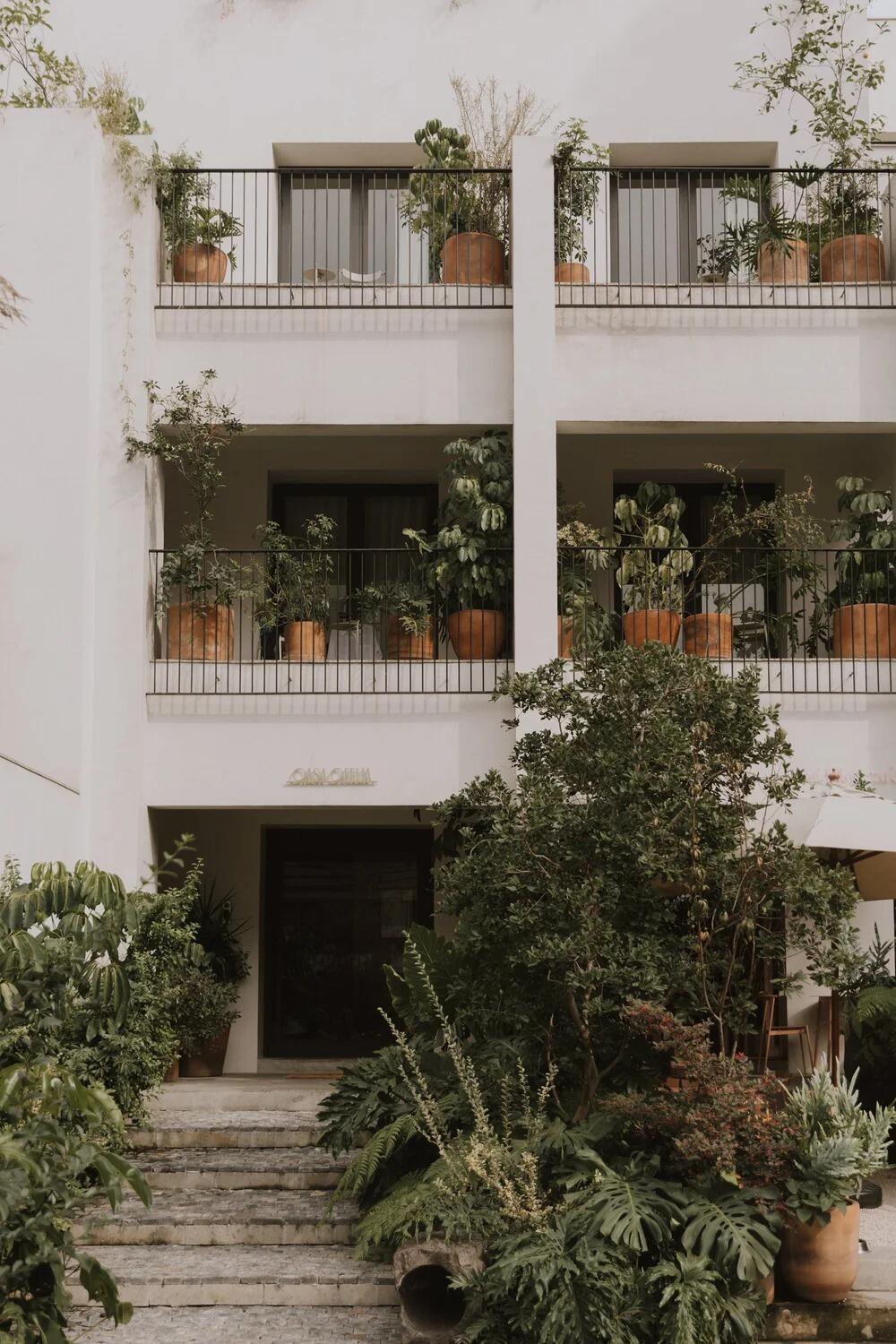 Picture of Casa Ofelia Polanco