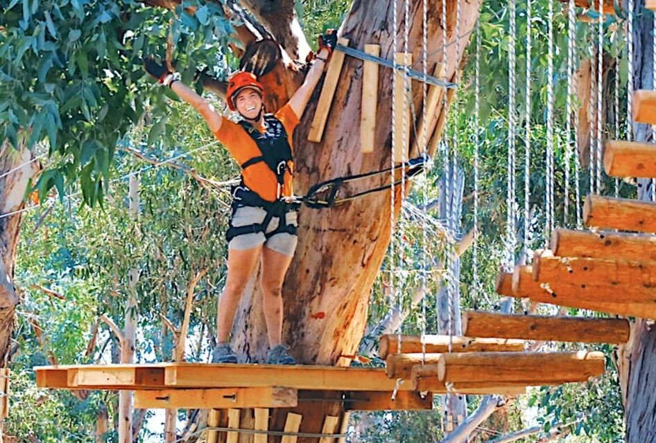 Picture of Catalina Aerial Adventure
