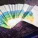 Ceremony Programs With Peacock Feather Designs