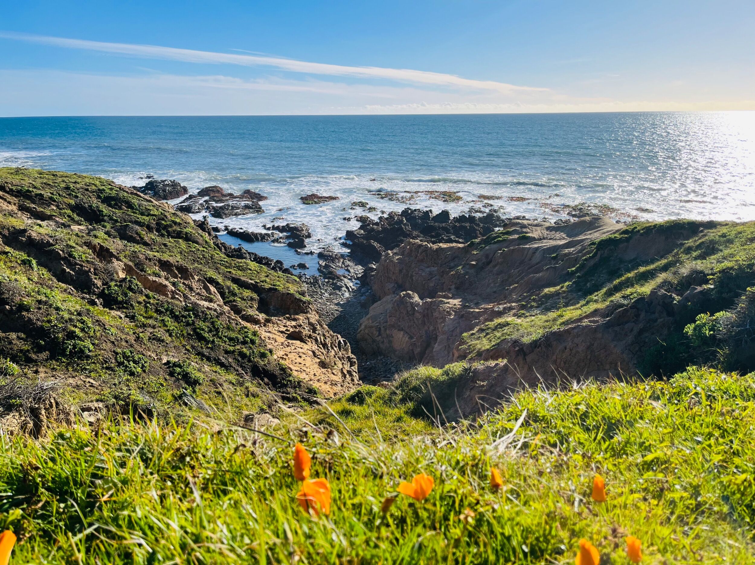 Picture of Fiscalini Ranch Preserve
