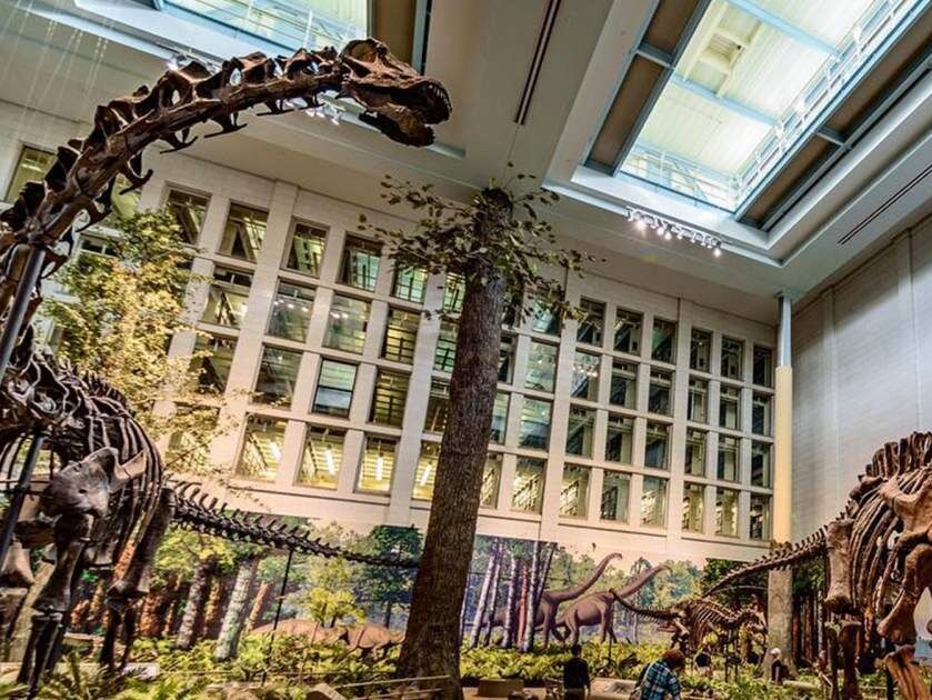 Picture of Carnegie Museums