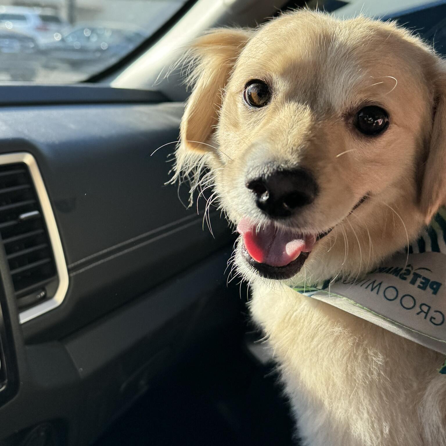 Ollie