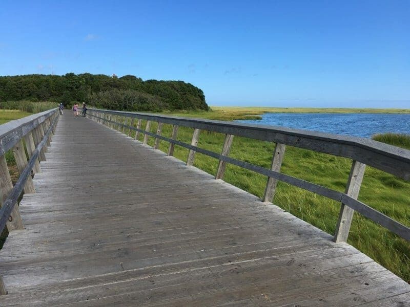 Picture of Cape Cod Rail Trail