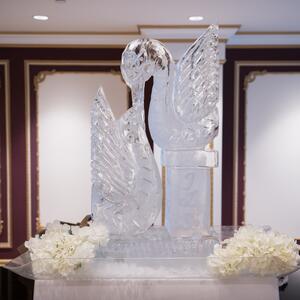 Gallery Photo 44