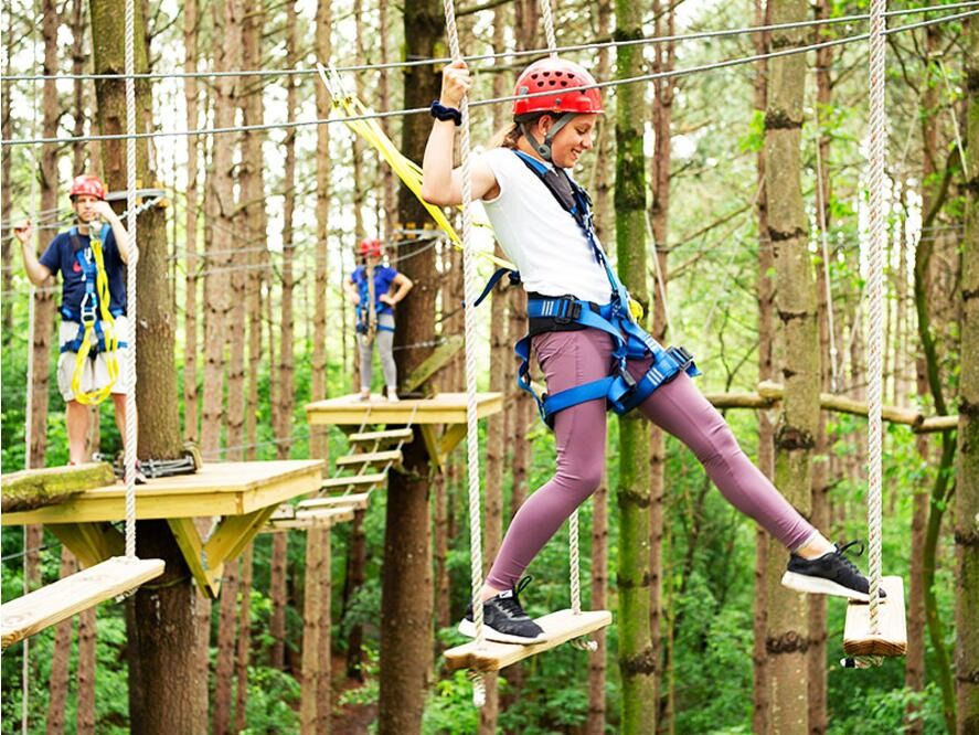 Picture of Lake Geneva Ziplines & Adventures