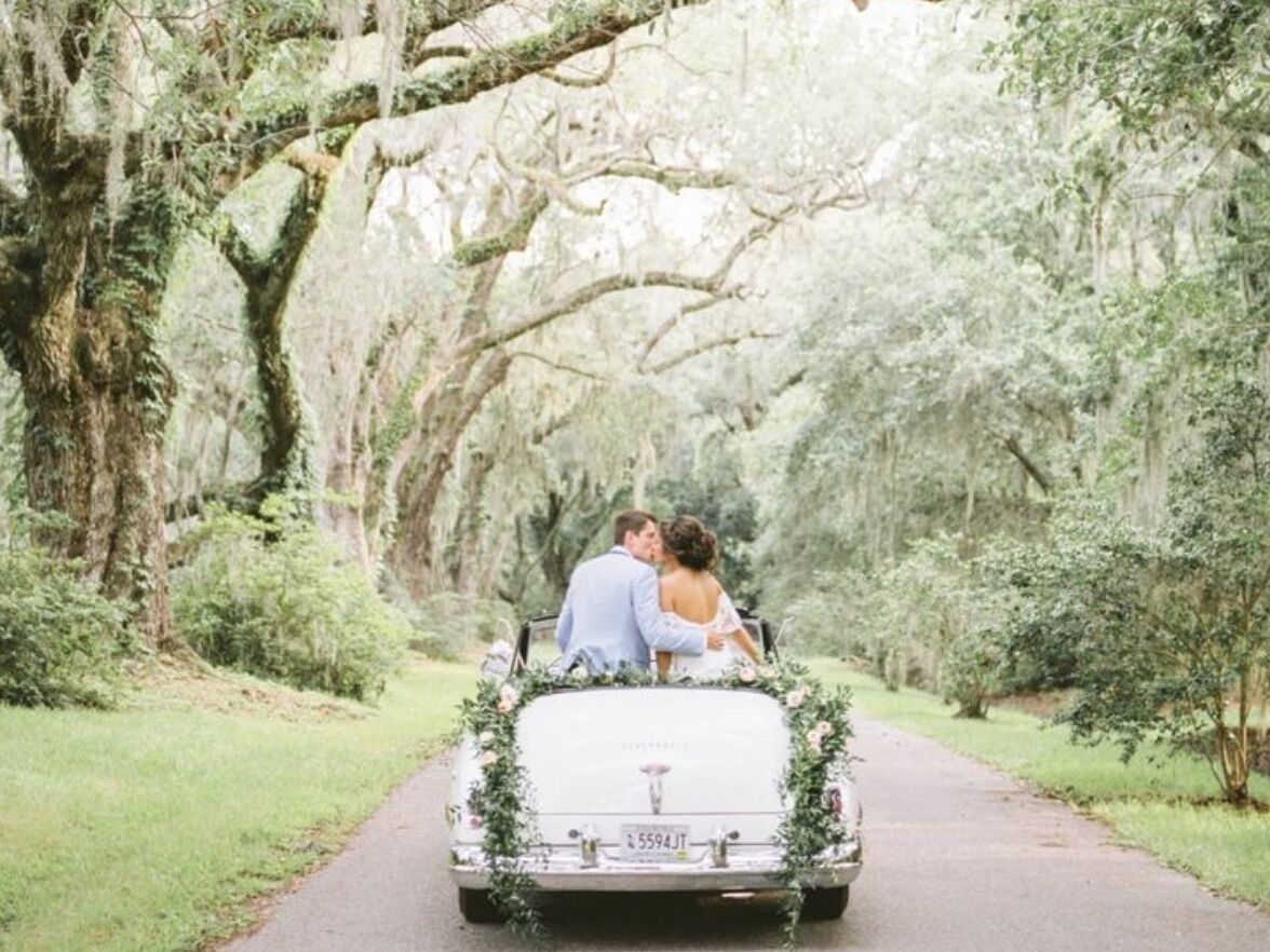 Picture of Magnolia Plantation and Gardens