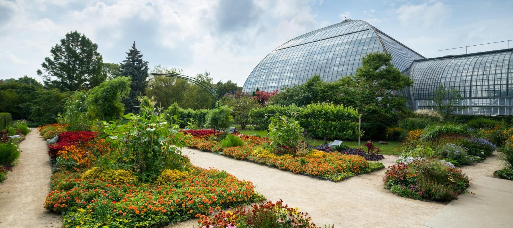 Picture of Garfield Park Conservatory