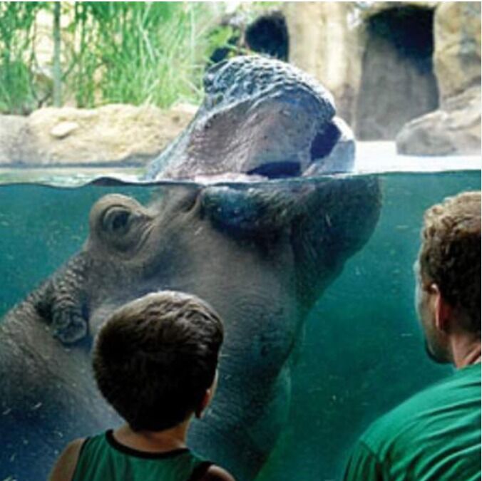 Picture of Cincinnati Zoo & Botanical Garden