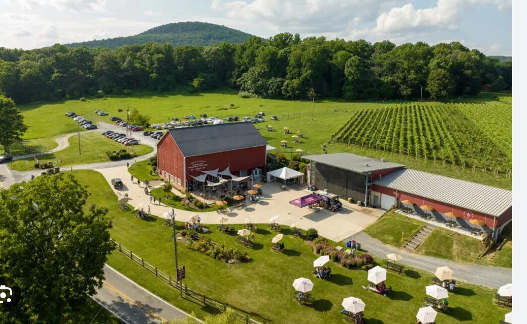 Picture of Sugarloaf Mountain Vineyard