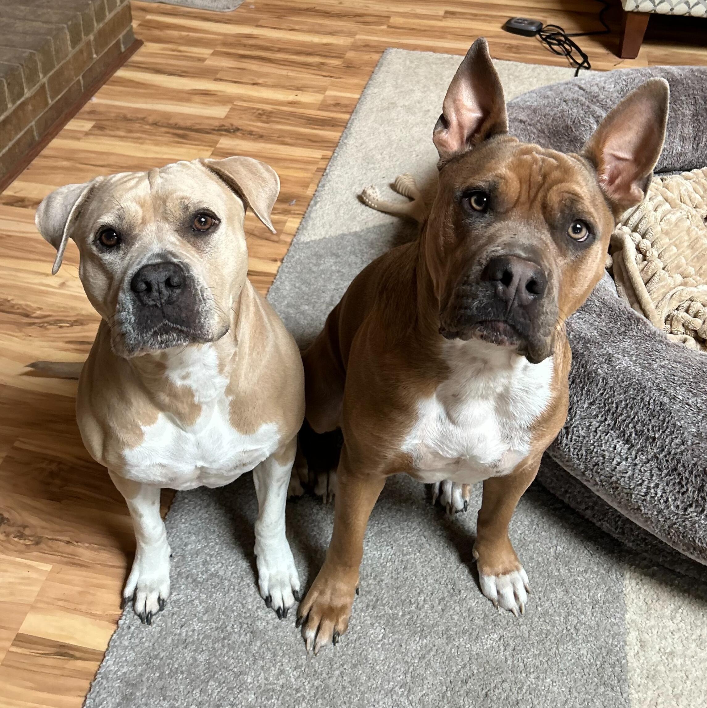 Daisy & Eli