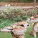 Rustic Distressed Wood Cocktail Tables