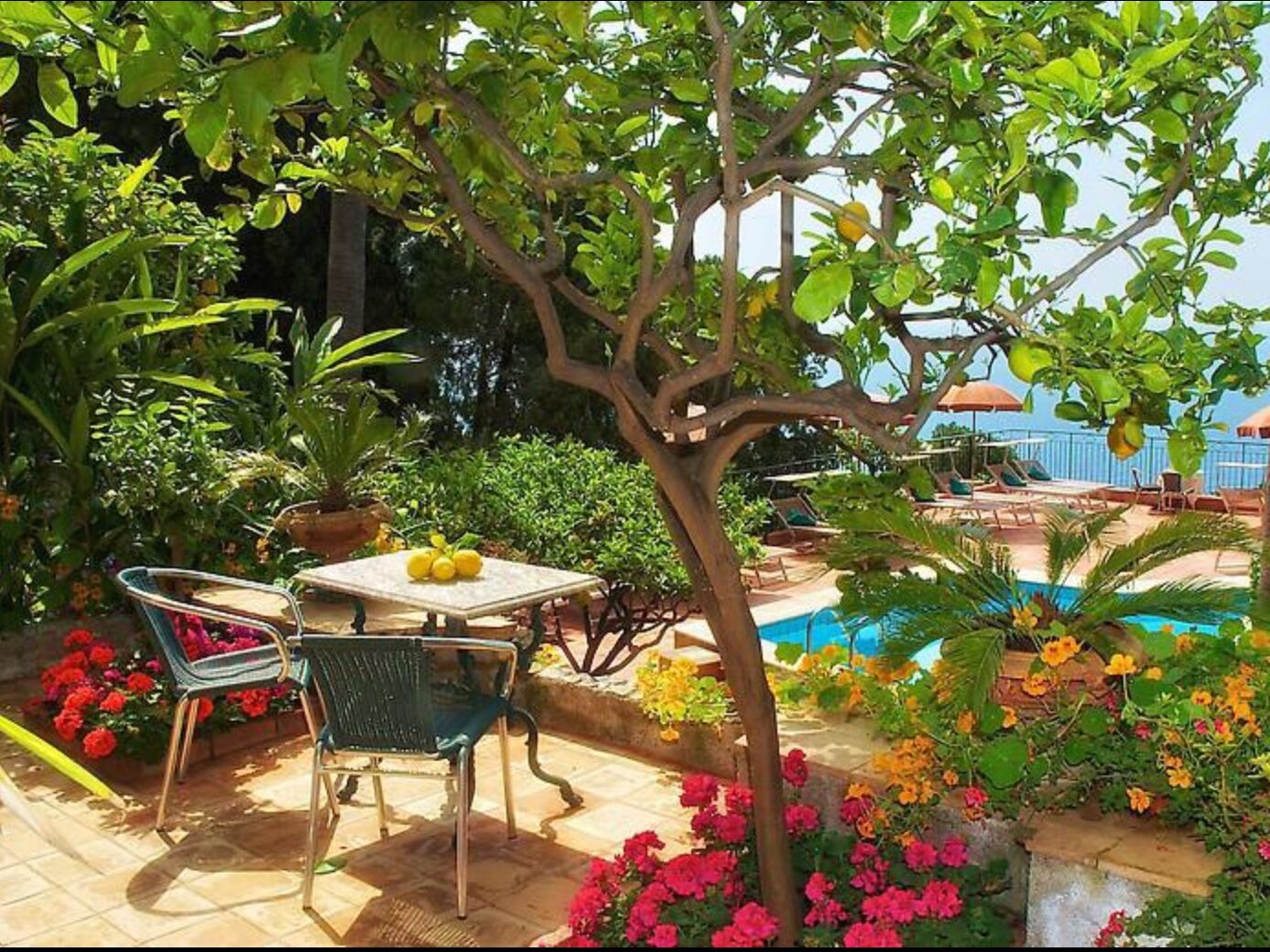 Picture of Hotel Villa Belvedere